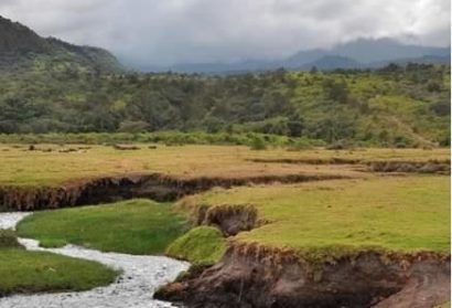 Arusha national park, day trip