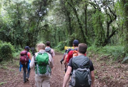 Kilimanjaro trek - Tanzania, Wild Drama