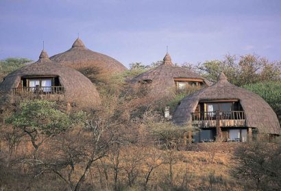 serengeti serena lodge